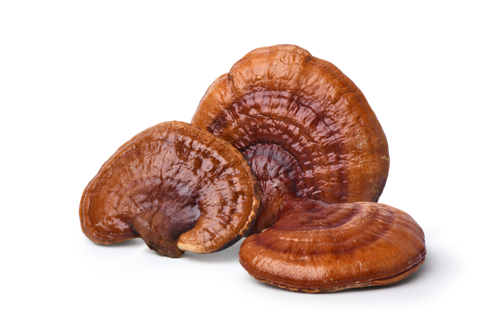 Rdeča, Reishi, goba, izolirana, na, belem, ozadju., obrezovanje, pot.