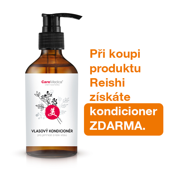 BREZPLANO Reishi in balzam za lase