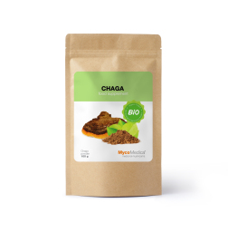 BIO Čaga - prah