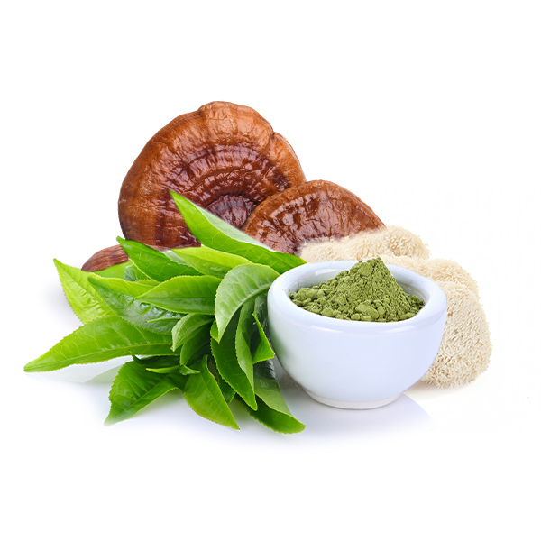 Zelena čokolada s Gyukoro, Reishi in Hericiem