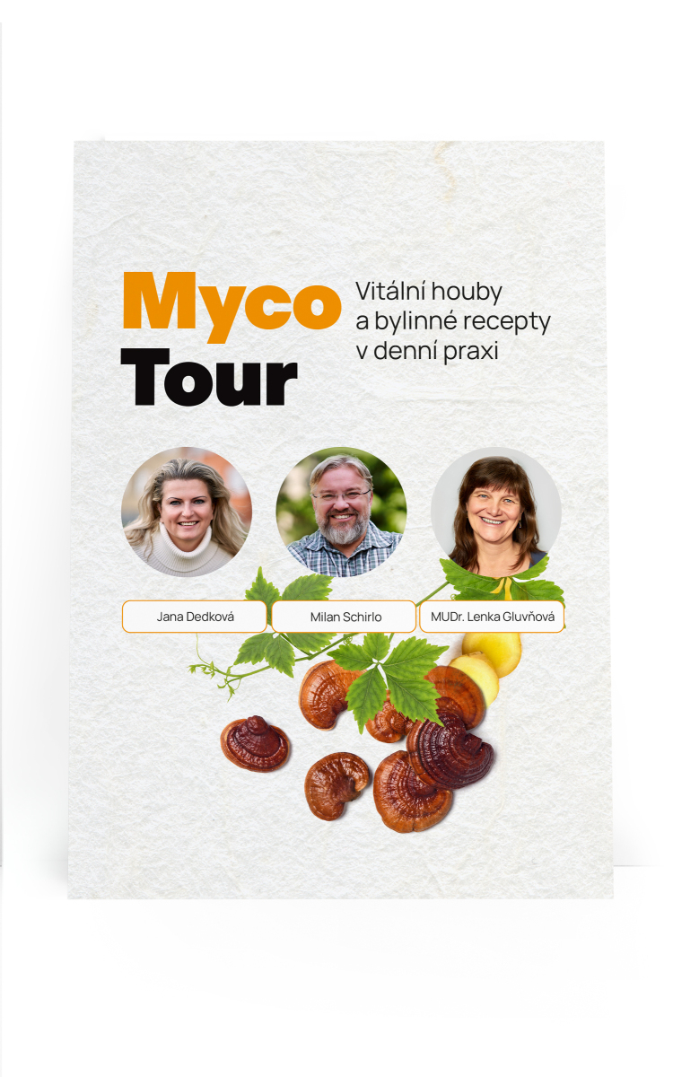 MycoTour - Seminarji o gobah in zeliščih