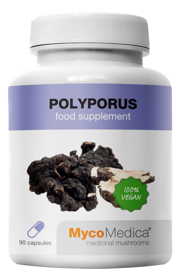 Polyporus