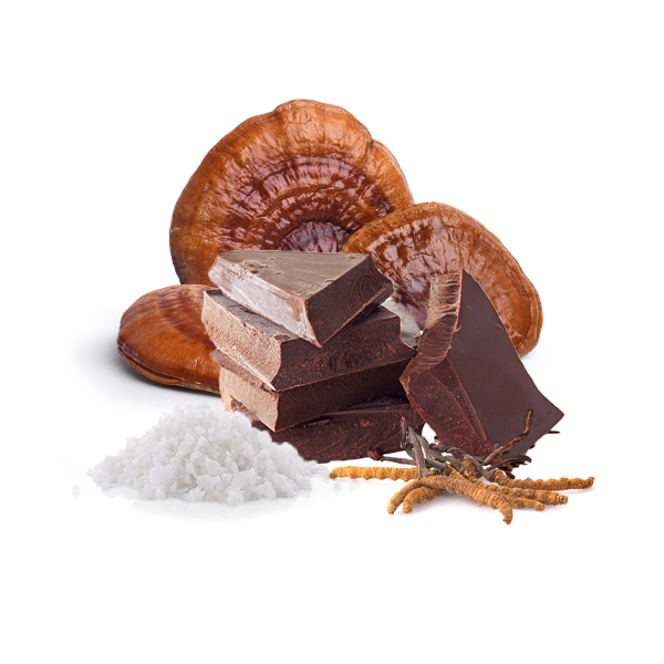 Zimska okolada s Cordycepsom, Reishi in soljo