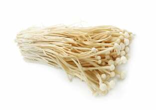 gobe enoki